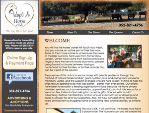 Adopt A Horse Club screen capture