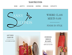 SassySeconds SassySeconds screen capture